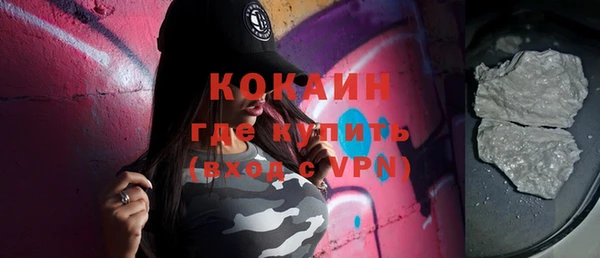 индика Аркадак