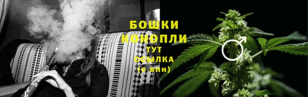 индика Балабаново