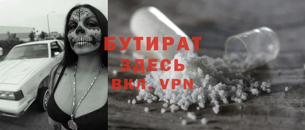 индика Аркадак