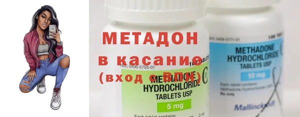 индика Аркадак