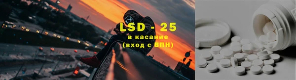индика Балабаново