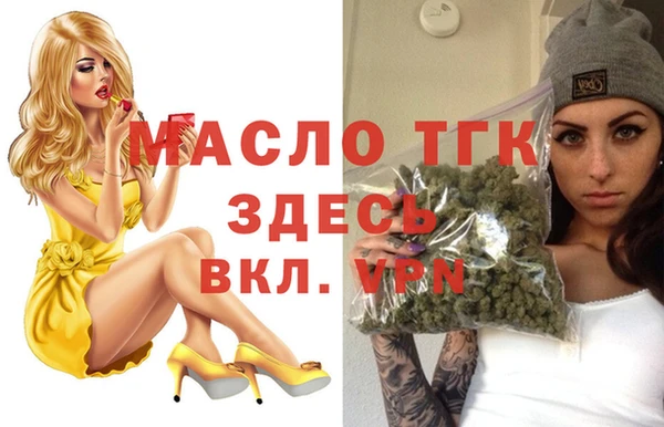 индика Аркадак
