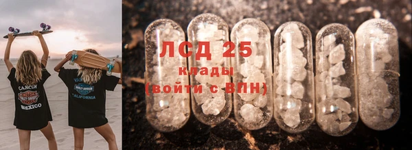 индика Аркадак