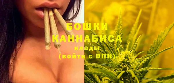 дурь Балахна